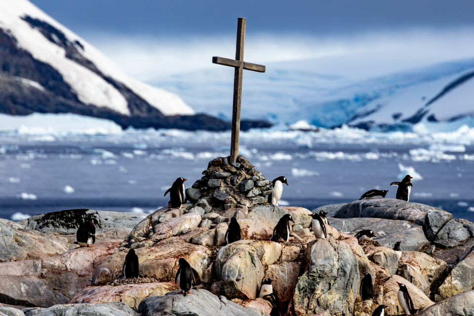 Penguins gathered on rocks around a wooden cross with ice and snow-covered mountains beyond.